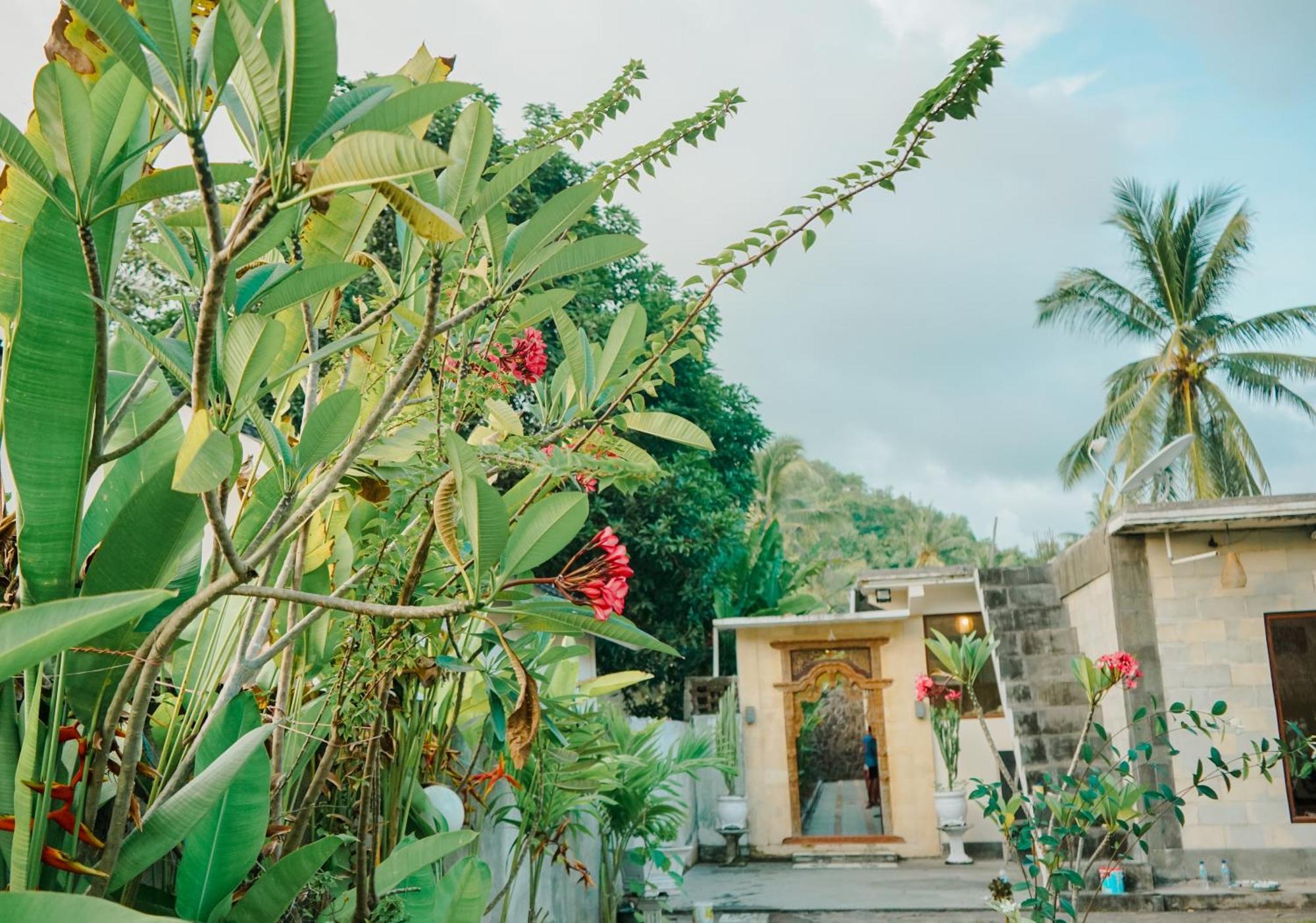 Zamzam Anjani Villa Lombok 普拉亚 外观 照片
